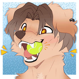 Headshot (no shaded)